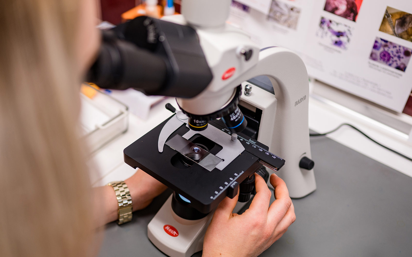 Labor für Blut- und Urinuntersuchungen